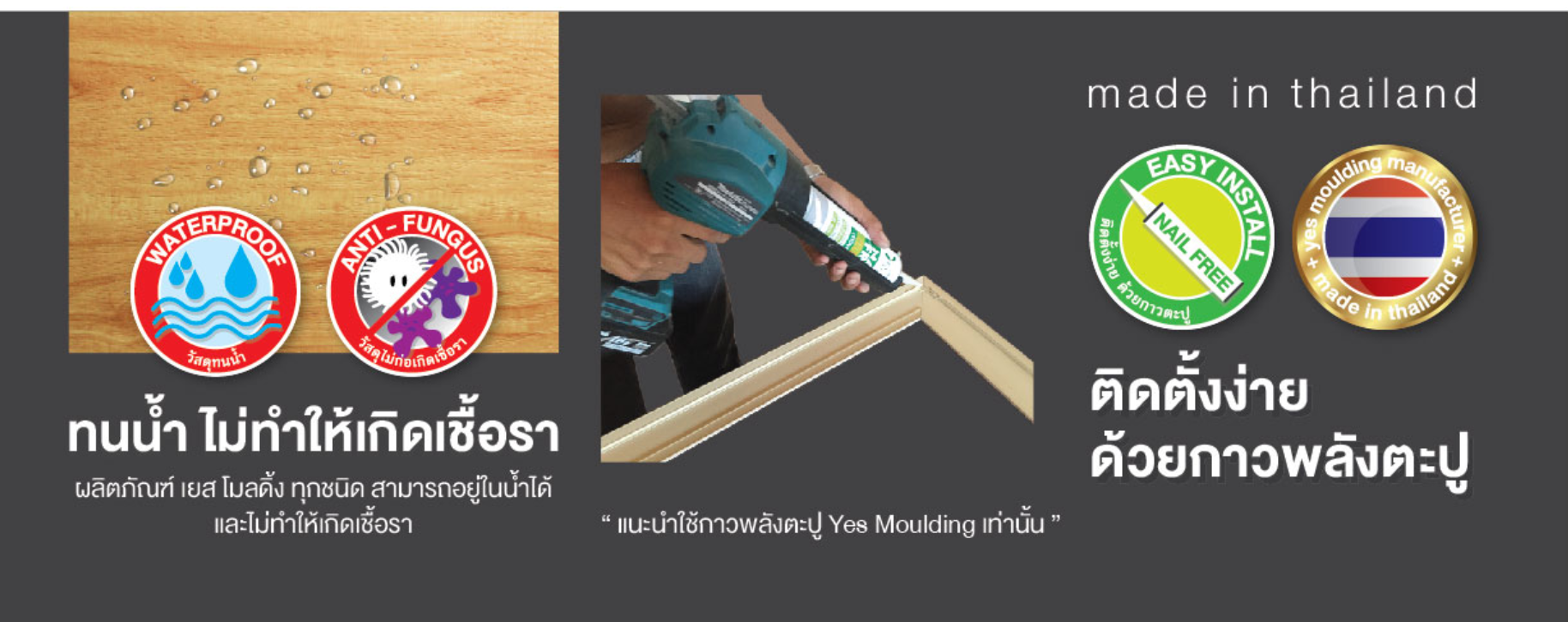 ป้องกันเชื้อรา